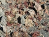 haleakala-crater-032