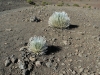 haleakala-crater-035