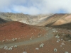 haleakala-crater-054