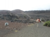 haleakala-crater-056