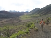 haleakala-crater-067