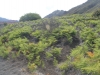 haleakala-crater-070