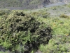 haleakala-crater-071