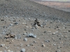 haleakala-crater-092