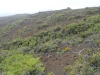 haleakala-crater-135