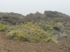 haleakala-crater-136