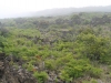 haleakala-crater-141