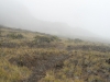 haleakala-crater-144