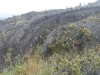 haleakala-crater-169