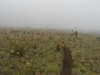 haleakala-crater-172