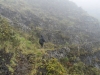 haleakala-crater-177