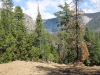 Half Dome 046