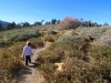 Jackson Flat Observation Tower 0025