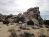 Joshua Tree NP 001