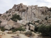 Joshua Tree NP 010