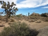 Joshua Tree NP 012