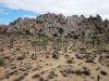 Joshua Tree NP 018