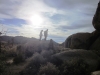 Joshua Tree NP 035