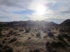 Joshua Tree NP 039