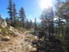 May Lake Trail 0028