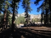 May Lake Trail 0031