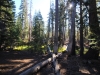 May Lake Trail 0033