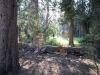 Merced Lake to Vogelsang 003