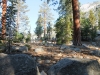 Merced Lake to Vogelsang 004