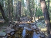 Merced Lake to Vogelsang 006