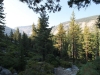 Merced Lake to Vogelsang 009