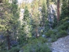 Merced Lake to Vogelsang 012