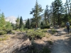 Merced Lake to Vogelsang 018