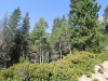 Merced Lake to Vogelsang 026