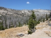 Merced Lake to Vogelsang 037