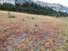 Merced Lake to Vogelsang 059