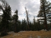 Merced Lake to Vogelsang 072