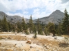 Merced Lake to Vogelsang 073