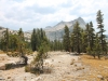 Merced Lake to Vogelsang 076