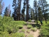 Mitchell Peak - Rowell Meadow 003