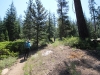 Mitchell Peak - Rowell Meadow 004