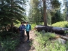 Mitchell Peak - Rowell Meadow 005