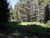 Mitchell Peak - Rowell Meadow 007