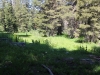 Mitchell Peak - Rowell Meadow 009