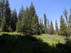 Mitchell Peak - Rowell Meadow 012