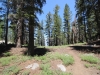 Mitchell Peak - Rowell Meadow 030