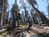 Mitchell Peak - Rowell Meadow 035