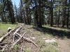 Mitchell Peak - Rowell Meadow 061