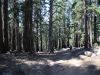 Mitchell Peak - Rowell Meadow 076