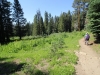 Mitchell Peak - Rowell Meadow 078