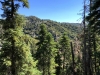 Mt.-Baden-Powell-5x-0016